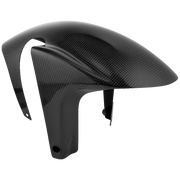 Guardabarros dianteiro em carbono LighTech Aprilia RSV4/1100 Factory/R/RR/RF (09-20) CARA3010 