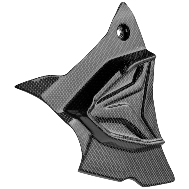 Capa de pinhão em carbono LighTech BMW S1000RR K67 (19-26) CARB1945 