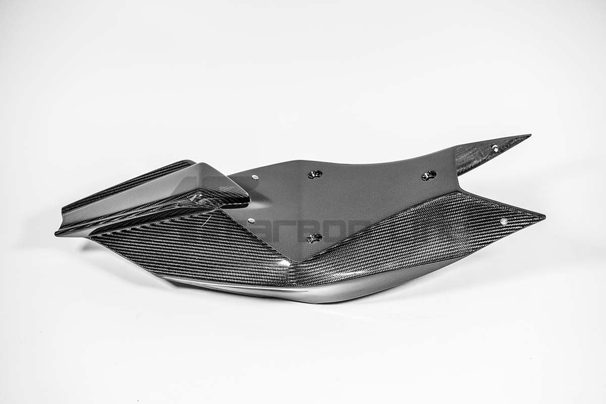 Carena traseira 200g AP Carbon Line Aprilia RSV4/RR/1100 Factory (21-25) 