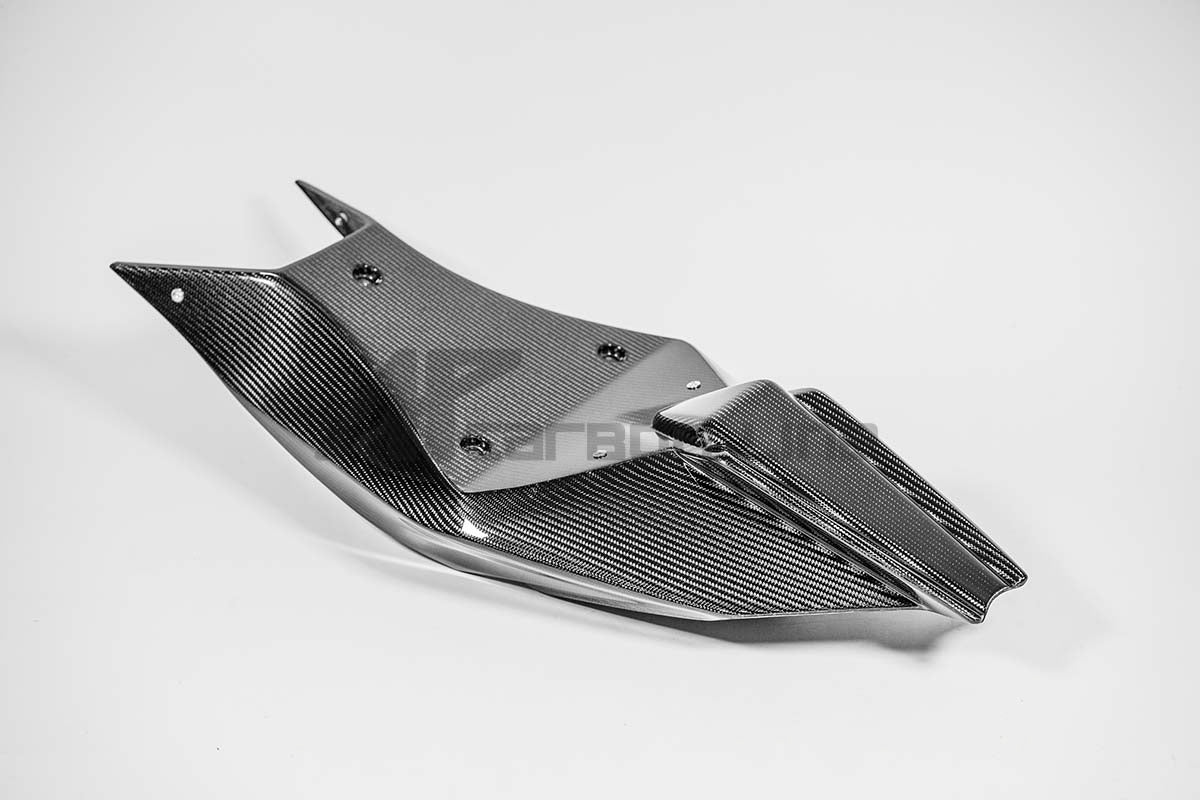 Carena traseira 200g AP Carbon Line Aprilia RSV4/RR/1100 Factory (21-25) 