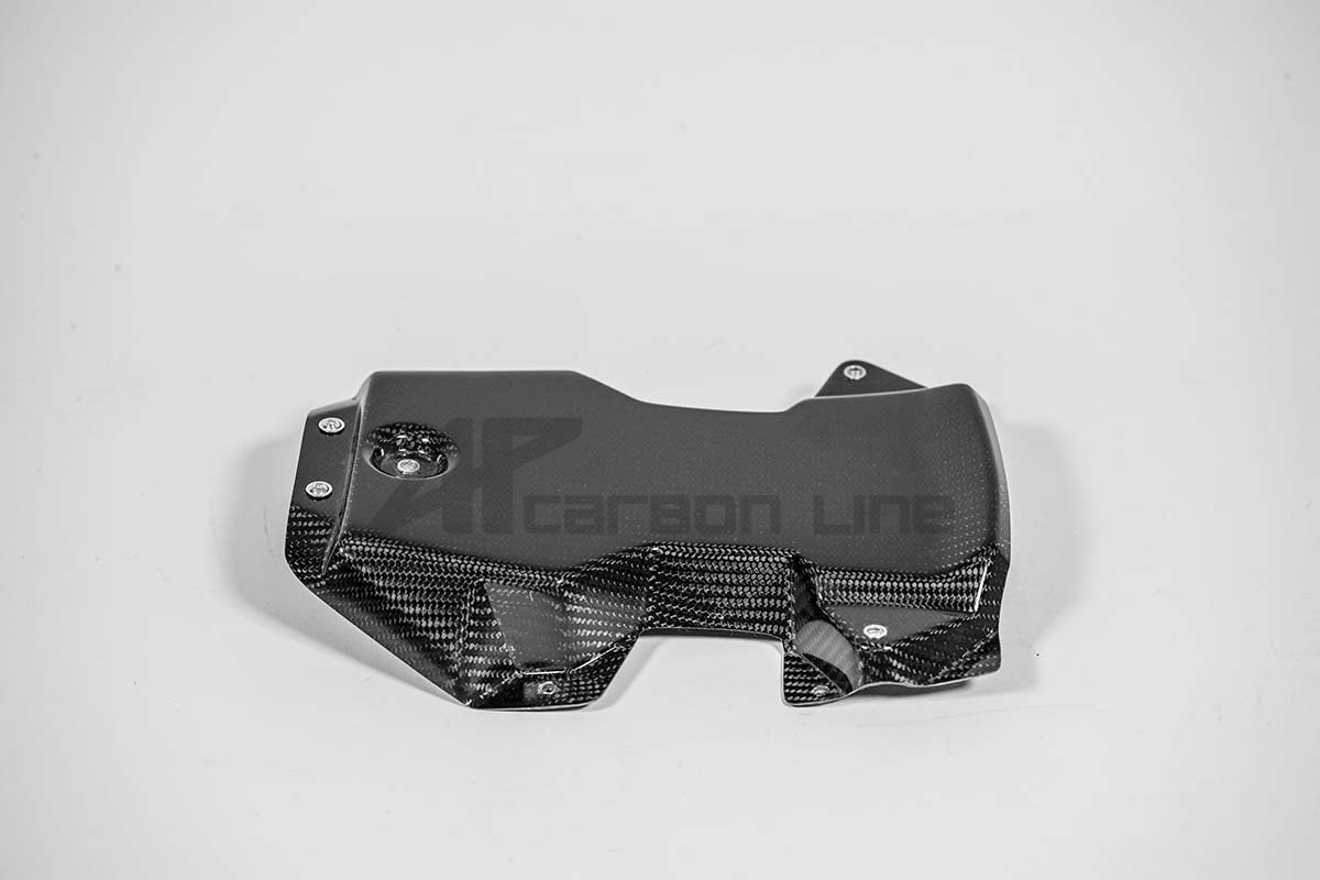 Carena traseira 200g AP Carbon Line Aprilia RSV4/RR/1100 Factory (21-25) 
