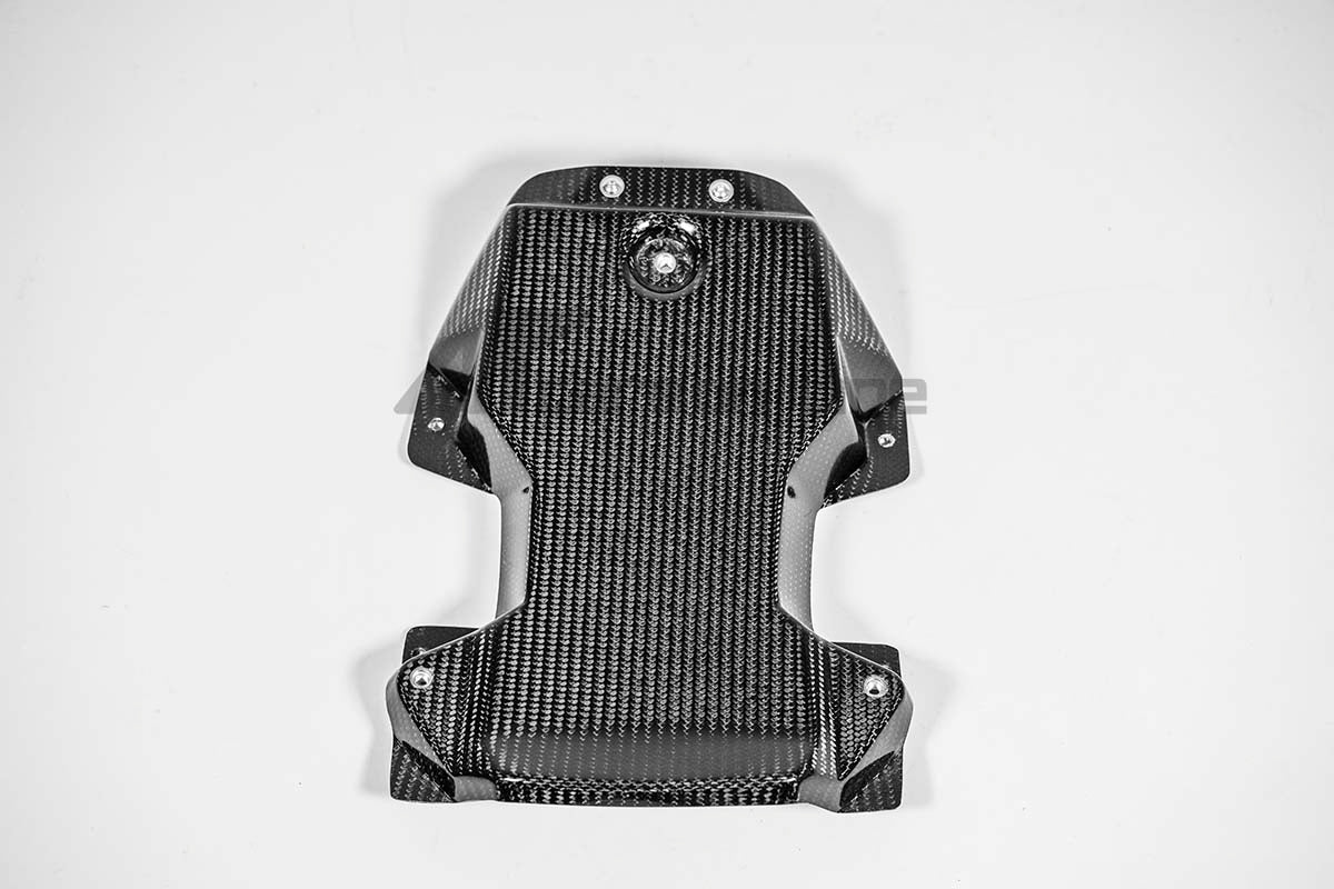 Carena traseira 200g AP Carbon Line Aprilia RSV4/RR/1100 Factory (21-25) 