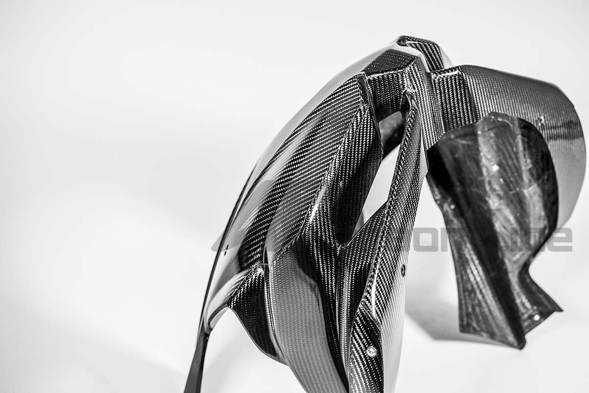 Máscara frontal 200g AP Carbon Line Aprilia RSV4/RR/1100 Factory (21-26) 
