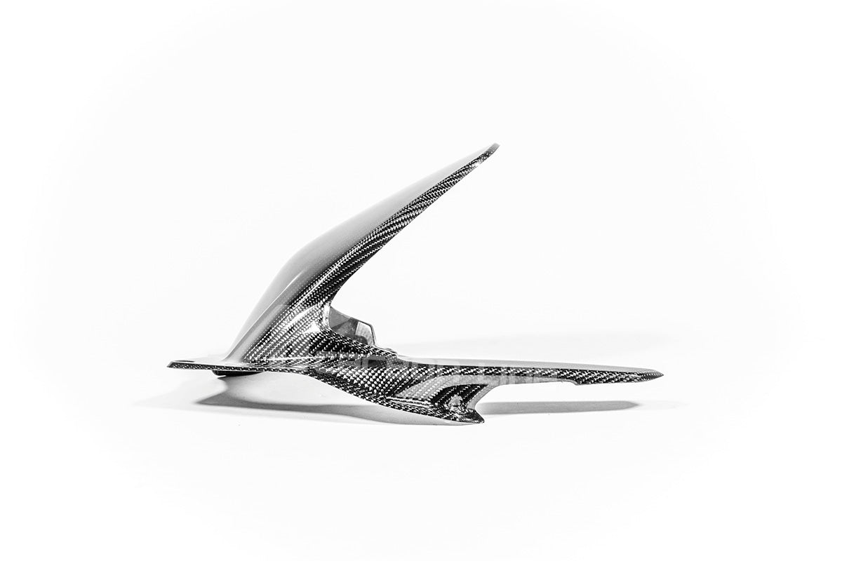 Guarda-lamas traseiro 200g AP Carbon Line Ducati Panigale V4/S/R (25-26) 