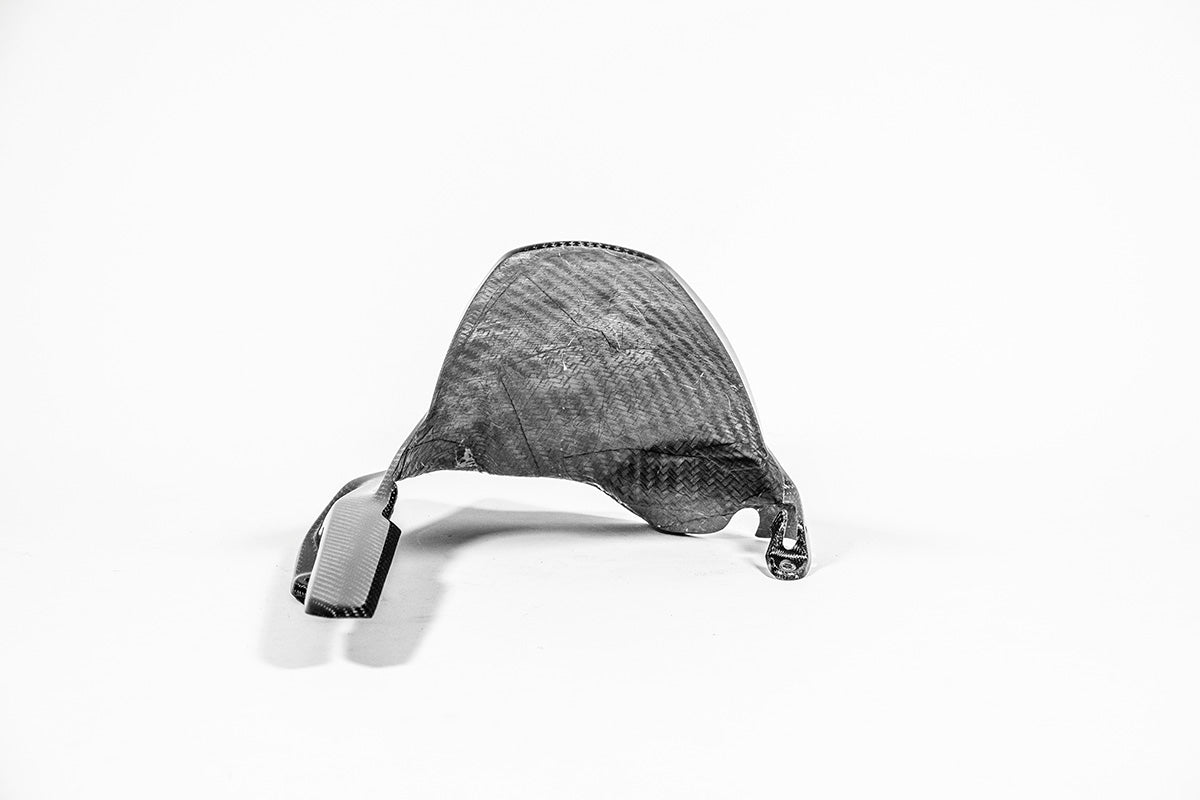 Guarda-lamas traseiro 200g AP Carbon Line Ducati Panigale V4/S/R (25-26) 