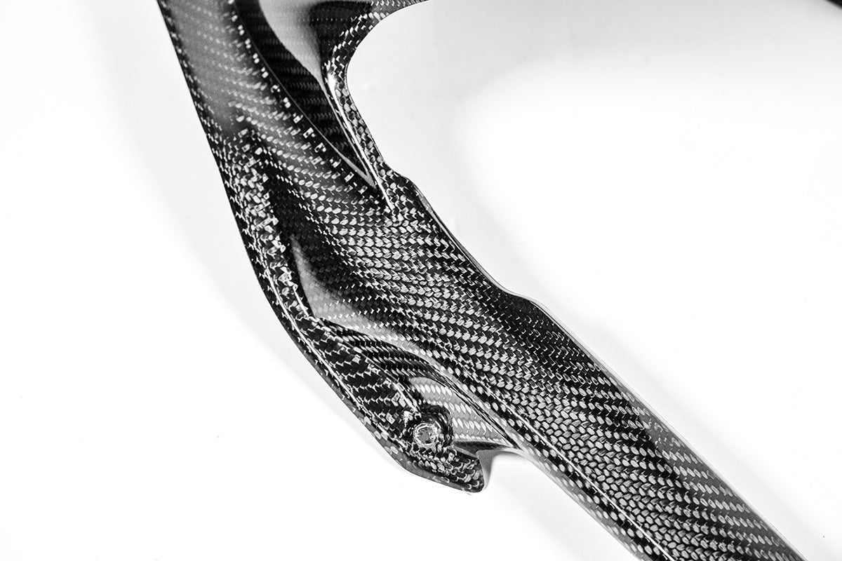 Guarda-lamas traseiro 200g AP Carbon Line Ducati Panigale V4/S/R (25-26) 