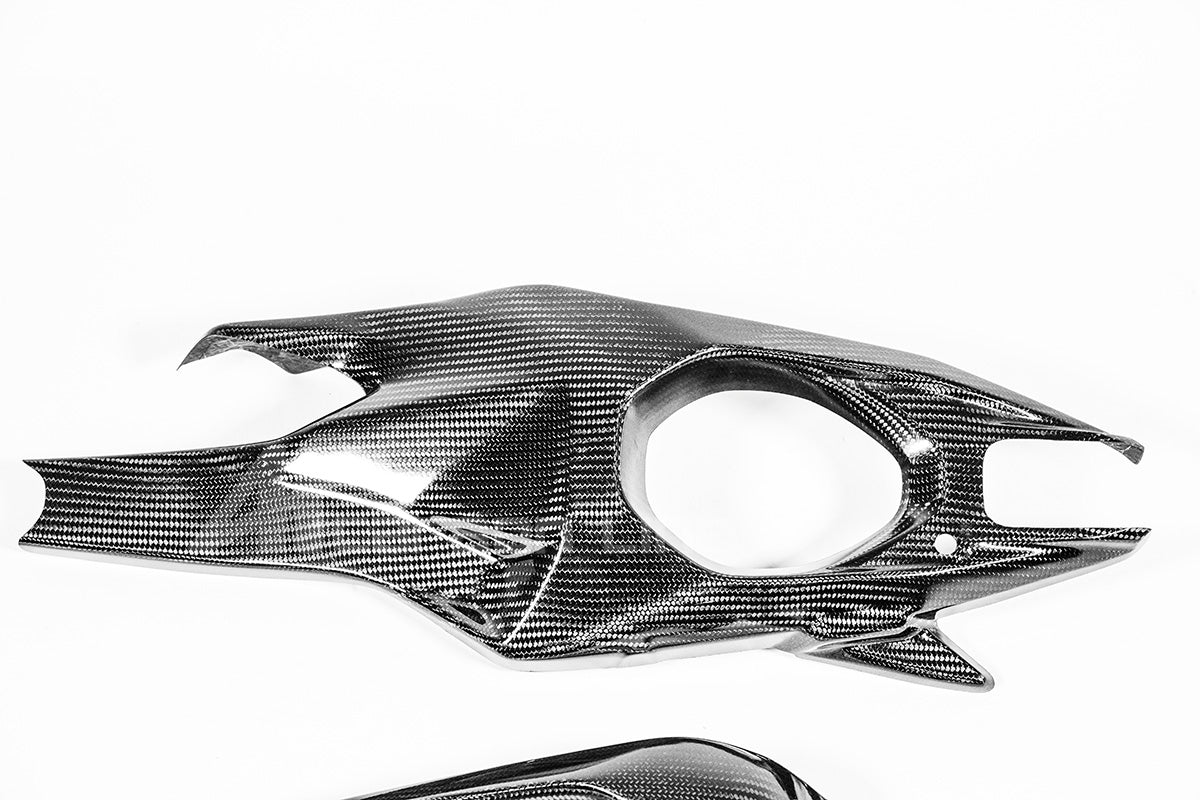 Cobrimentos de braço oscilante 200g AP Carbon Line Ducati Panigale V4/S/R (25-26) 