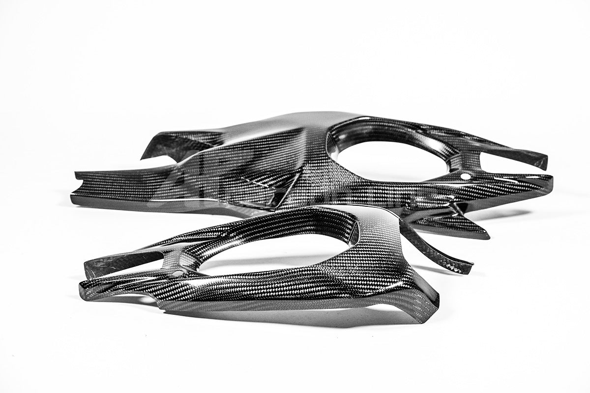 Cobrimentos de braço oscilante 200g AP Carbon Line Ducati Panigale V4/S/R (25-26) 