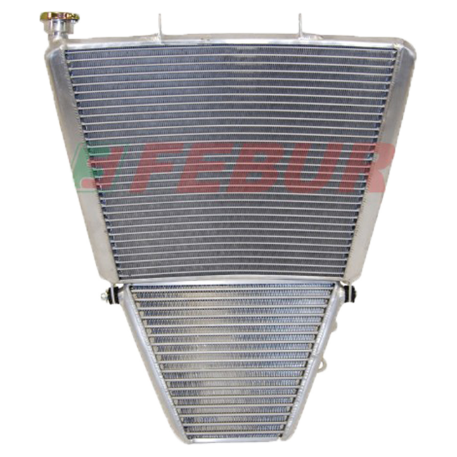 Racing Água + Radiador de Óleo Febur Aprilia RSV4/RR/RF/1100 Factory (15-20) FE1577S 