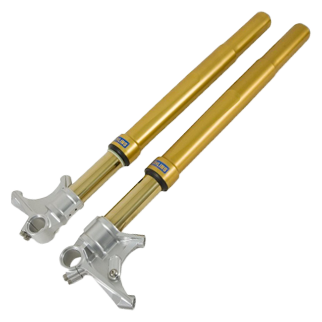 Garfo Ohlins Upside Down Road-Track FGRT 202 BMW S1000RR K46 (09-18) 