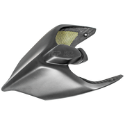Carenagem traseira em carbono PlasticBike Ducati Panigale V2 955 (20-24) 