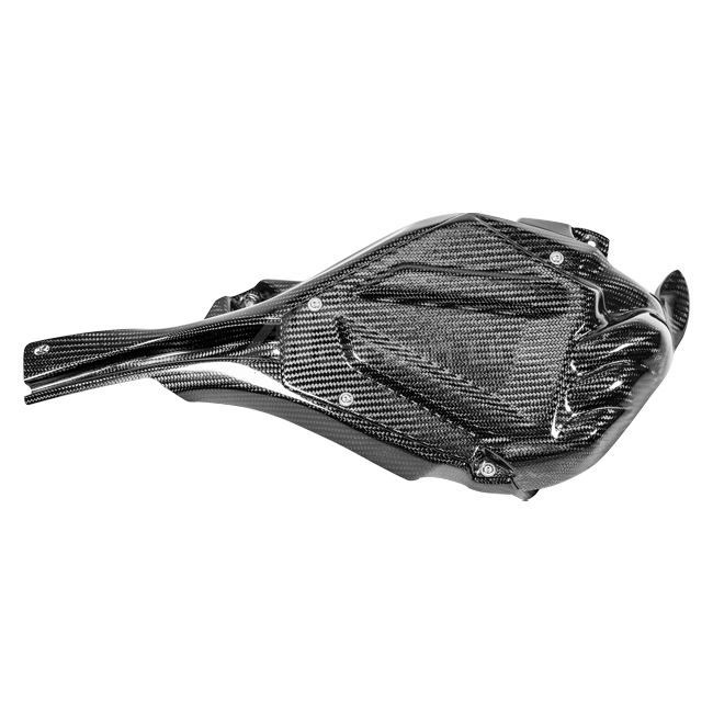 Tampa da ECU com canal de refrigeração 200g AP Carbon Line Yamaha YZF-R1/M RN65 (20-25) 