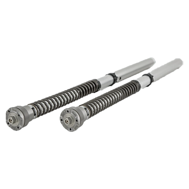 Kit de Cartucho Öhlins NIX 30 FGK 241 Honda CBR 1000 RR-R SC82 (20-26) 