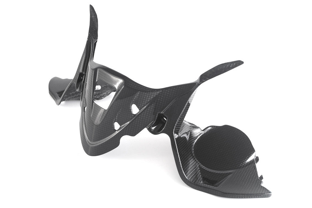 Cobertura do instrumento em Carbono Fullsix Ducati Panigale 959 (16-19) 