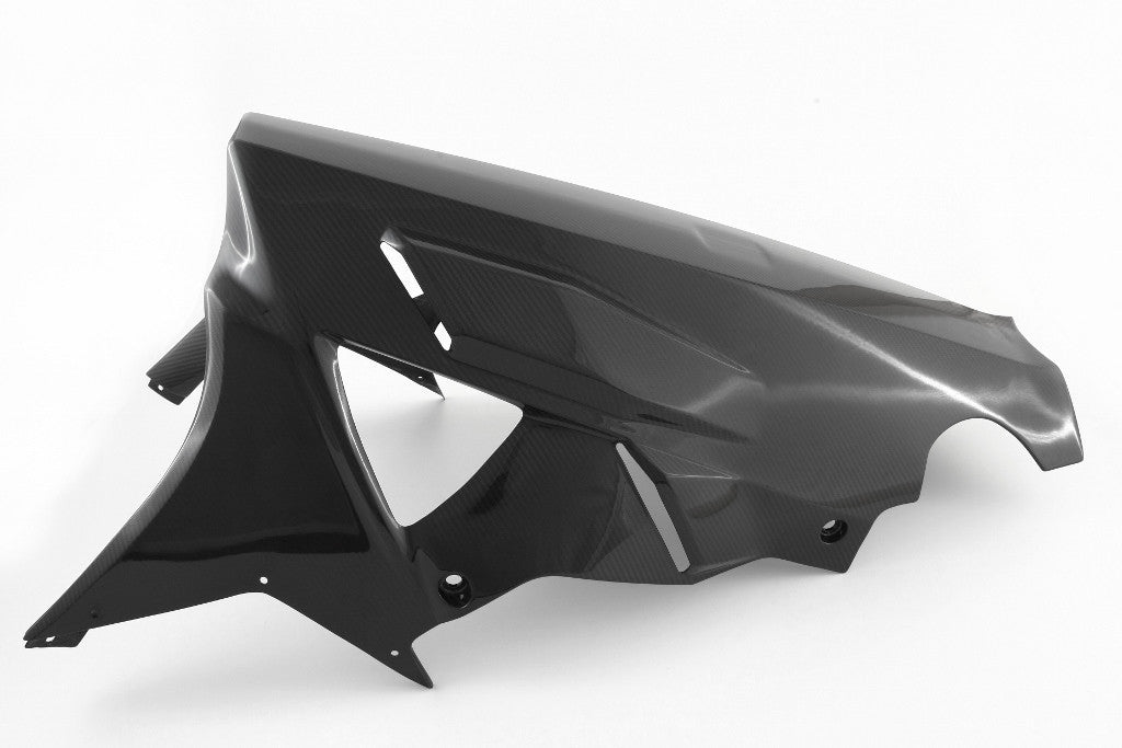 Spoiler traseiro "Street" em Carbono Fullsix BMW S1000RR K46 (09-14) 