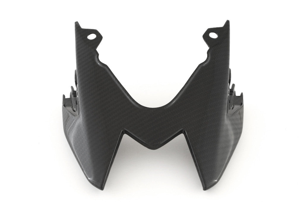 Capa do painel traseiro em carbono Fullsix BMW S1000RR K46 (15-18) 