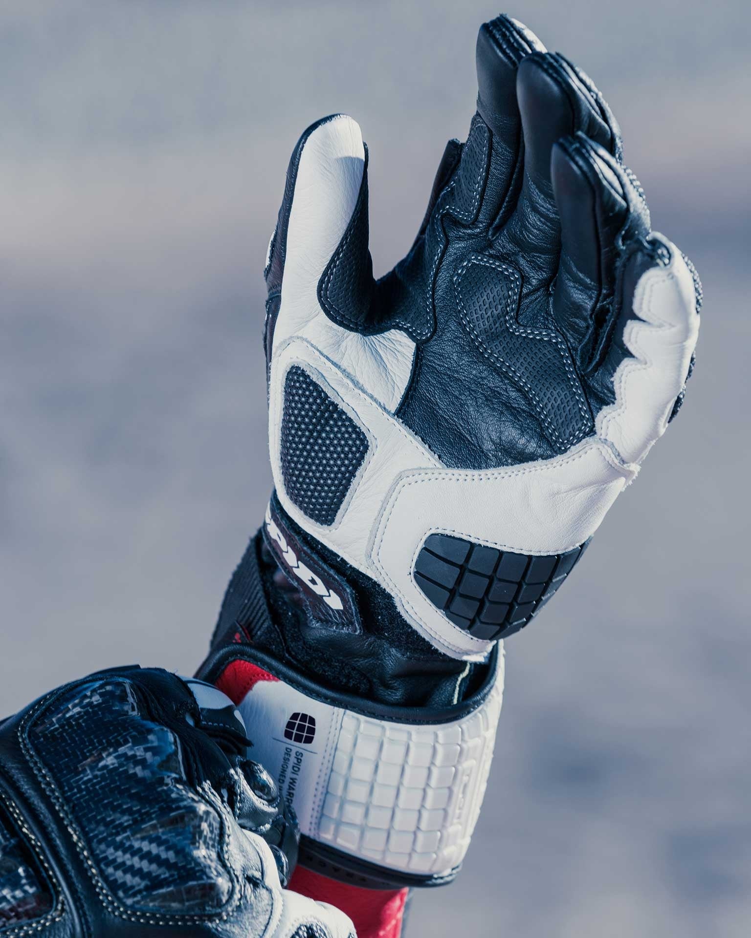 Spidi Carbo Track Evo luvas de corrida em couro para motociclo | Homem | Preto/Branco | A203011 