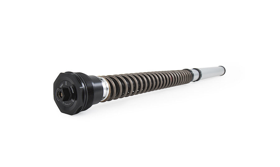 Kit de Cartucho Öhlins NIX 30 FGK 229 para Ducati Panigale 959 (16-19) 